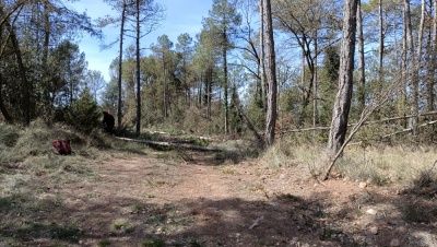 Photo prise liée au parcours
