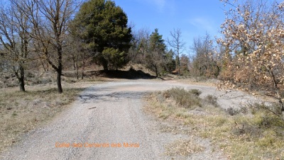 Photo prise liée au parcours