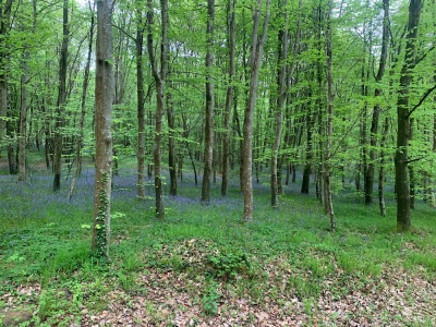 cfptt st crépin 2023.