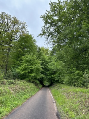 Photo prise liée au parcours