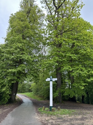 Photo prise liée au parcours
