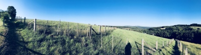 Photo prise liée au parcours