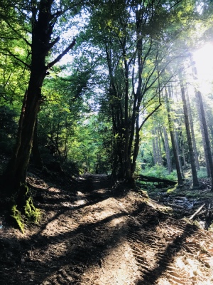 Photo prise liée au parcours