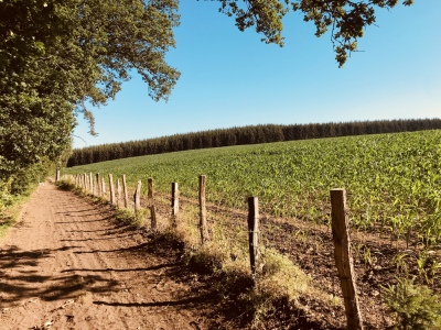 Photo prise liée au parcours