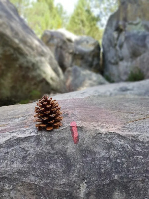 Photo prise liée au parcours