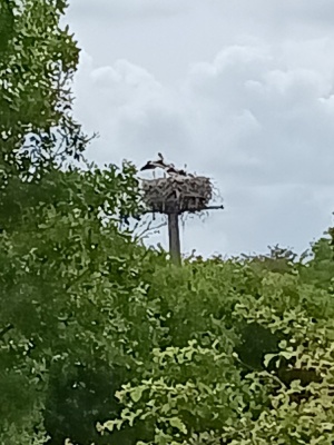 Photo prise liée au parcours