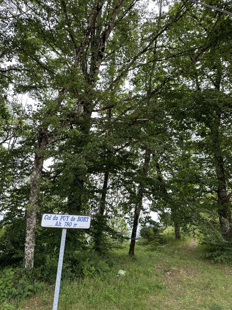 [FR-19-0792] Col du Puy de Bort