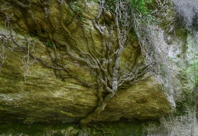 Photo prise liée au parcours