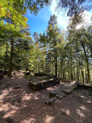 Photo prise liée au parcours