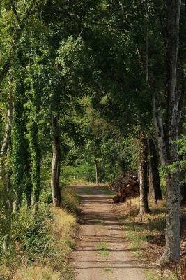 Photo prise liée au parcours