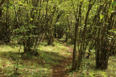 Photo prise liée au parcours