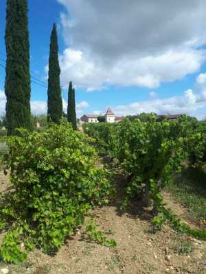 Photo prise liée au parcours