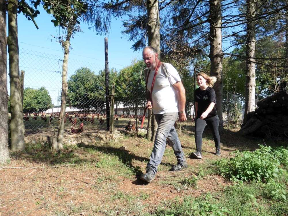 Découverte parcours poules pondeuses plein air
