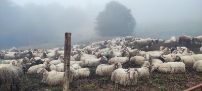 Photo prise liée au parcours