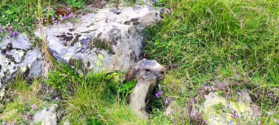 Photo prise liée au parcours