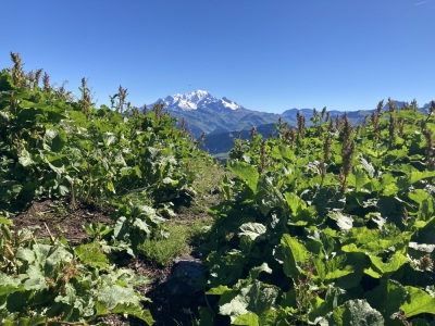 Photo prise liée au parcours