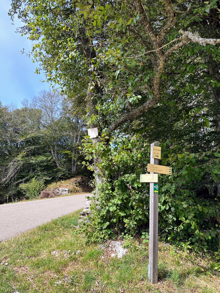 [FR-74-1305] Col des Convers (Col du Plan)