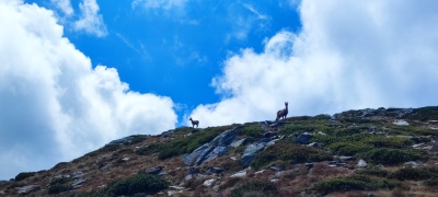 Photo prise liée au parcours