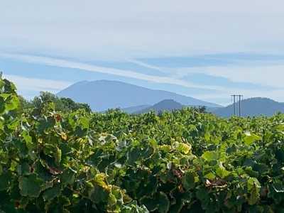 Vaison Buisson Rasteau