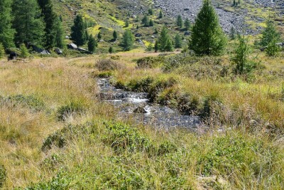 Photo prise liée au parcours