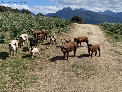 Photo prise liée au parcours