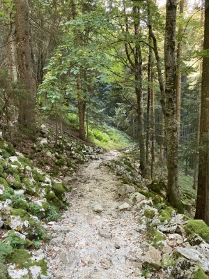 Photo prise liée au parcours