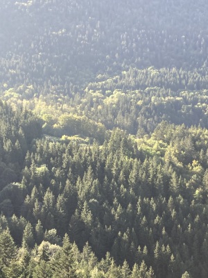 Photo prise liée au parcours