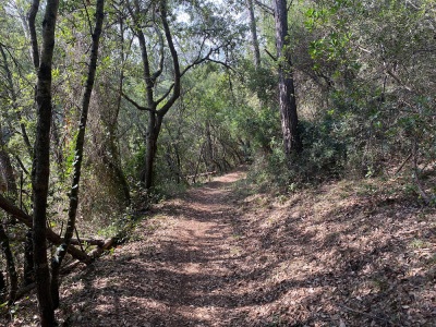 Photo prise liée au parcours