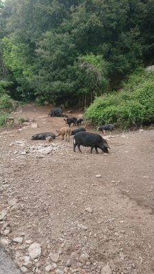 Photo prise liée au parcours