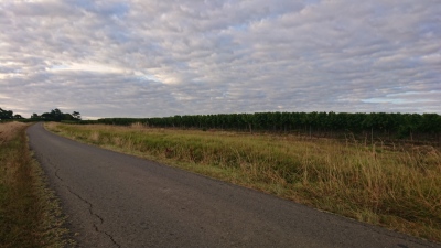 Photo prise liée au parcours