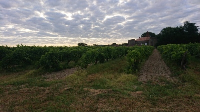 Photo prise liée au parcours