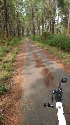 Photo prise liée au parcours