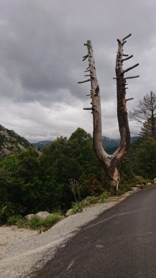 Photo prise liée au parcours