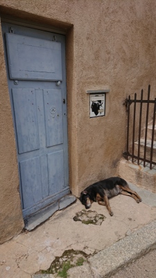 Photo prise liée au parcours