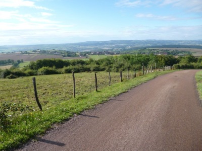 SR des Côtes de Bourgogne - Marsannay-la-Côte - Photo 5