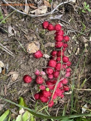 Photo prise liée au parcours