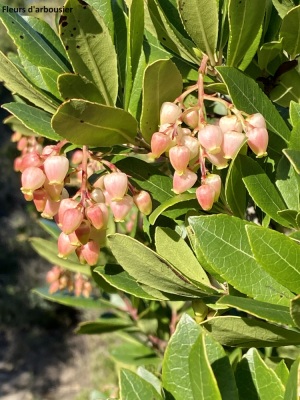 Photo prise liée au parcours