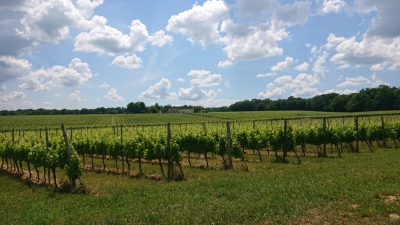 Photo prise liée au parcours