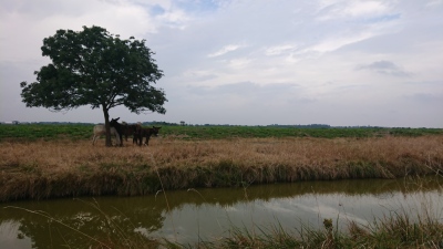 Photo prise liée au parcours