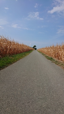 Photo prise liée au parcours