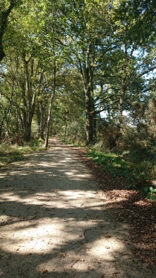 Photo prise liée au parcours
