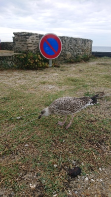 Photo prise liée au parcours