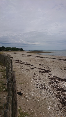 Photo prise liée au parcours