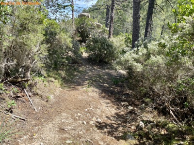 Photo prise liée au parcours