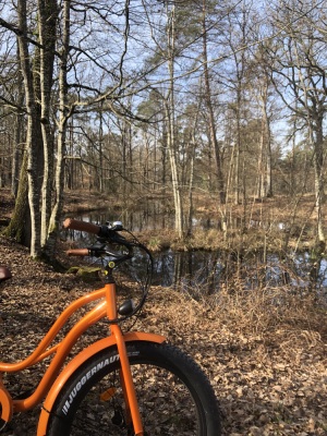 Photo prise liée au parcours