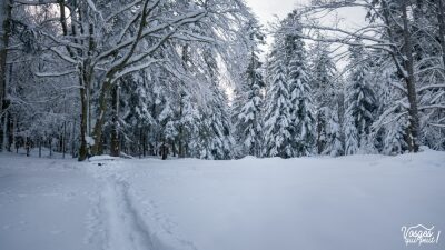 Photo prise liée au parcours