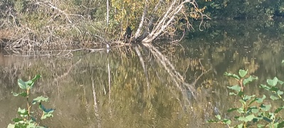Photo prise liée au parcours