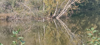 Photo prise liée au parcours