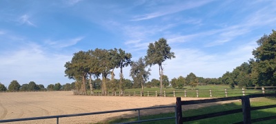 Photo prise liée au parcours