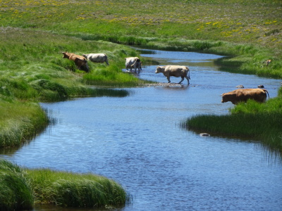 Photo prise liée au parcours